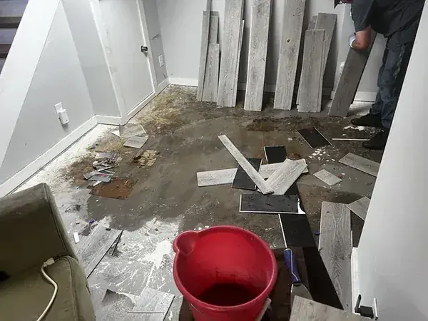Air movers and a dehumidifier drying a water damaged Alpine basement
