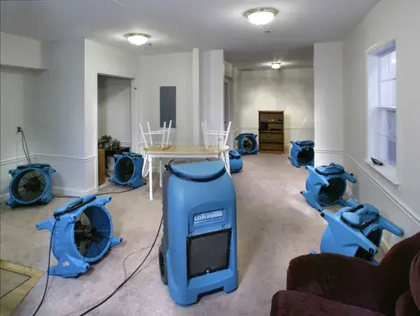Air movers and dehumidifiers drying an Alpine room